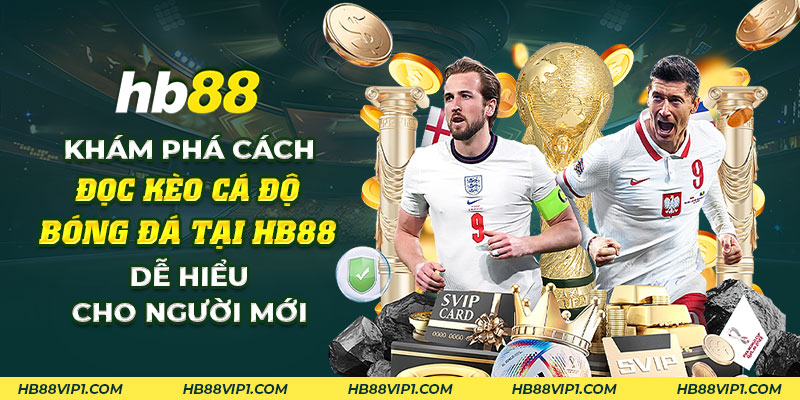 Cách đọc kèo cá độ bóng đá: Giải mã mọi loại kèo cược tại HB88 9 20 Kham pha cach doc keo ca do bong da tai HB88 De hieu cho nguoi moi