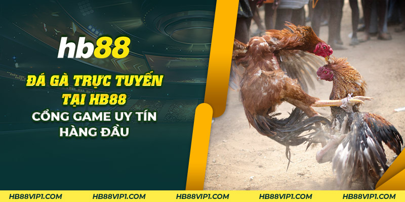 28 da ga truc tuyen tai hd88 cong game uy tin hang dau
