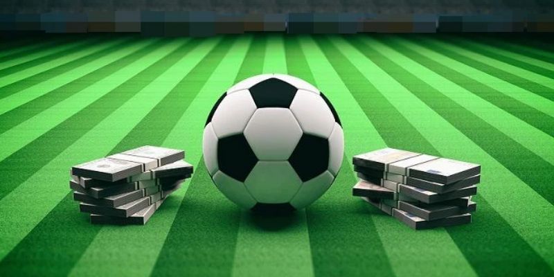 Tham gia forum cá độ bóng đá HB88: Nơi kết nối những đam mê 3 Các bước để tham gia và sử dụng diễn đàn HB88 hiệu quả