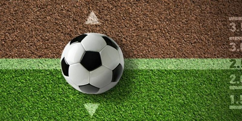 Tham gia forum cá độ bóng đá HB88: Nơi kết nối những đam mê 4 Một số lưu ý quan trọng bạn cần chú ý để đảm bảo trải nghiệm của mình