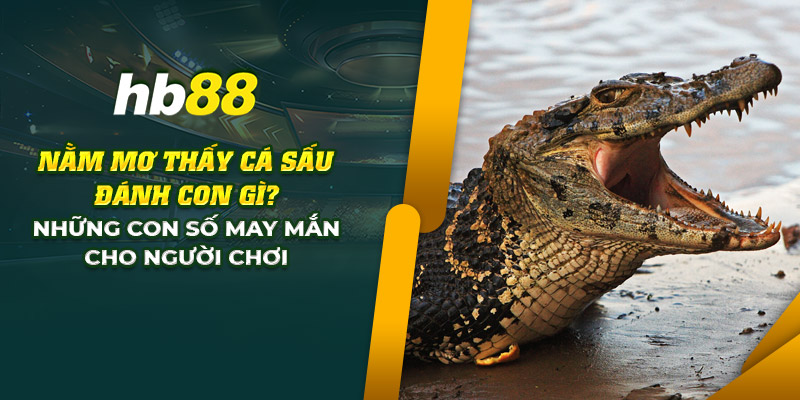 Nằm mơ thấy cá sấu đánh con gì? Những con số may mắn nhất 1 1 nam mo thay ca sau danh con gi nhung con so may man cho nguoi choi 1