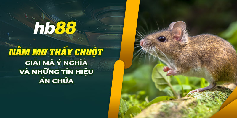 Nằm mơ thấy chuột: Giải mã ý nghĩa và những tín hiệu ẩn chứa 10 15 nam mo thay chuot giai ma y nghia va nhung tin hieu an chua