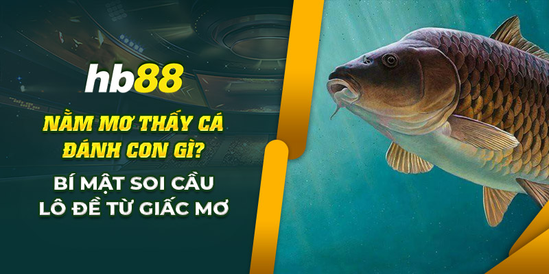 Nằm mơ thấy cá đánh con gì? Giải mã lô đề từ giấc mơ này! 5 hb88