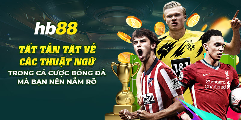 Tất tần tật về các thuật ngữ trong cá cược bóng đá cần biết 3 23 tat tan tat ve cac thuat ngu trong ca cuoc bong da ma ban nen nam ro