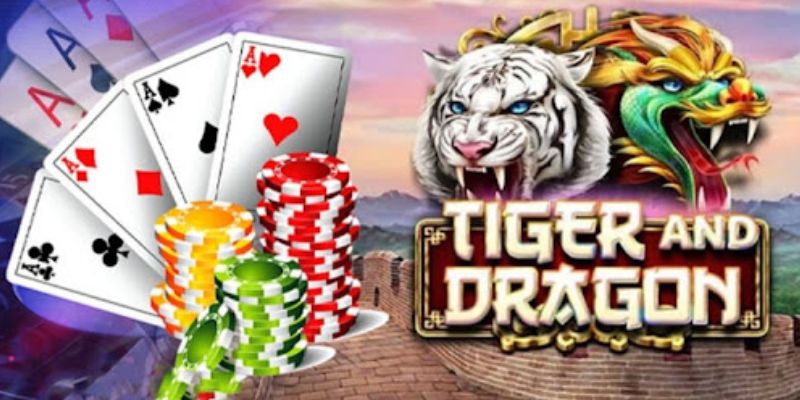 Mẹo Đánh Rồng Hổ: Tăng Cơ Hội Thắng Lớn Dễ Dàng Tại HB88 3 Những mẹo đánh rồng hổ thắng lớn tại nhà cái